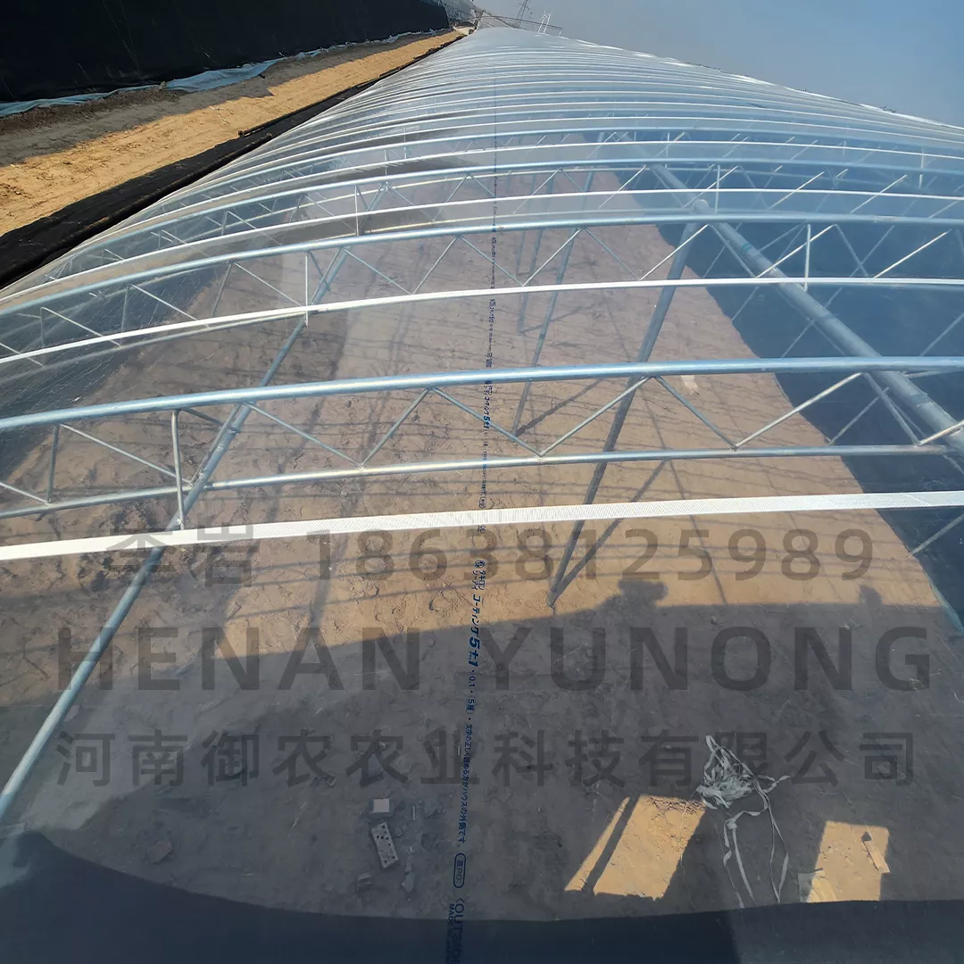 希爱农PO膜